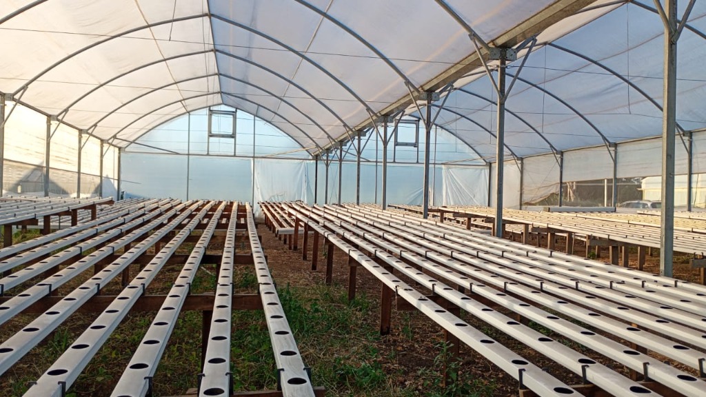 Cooperativa Lahuen Moreno